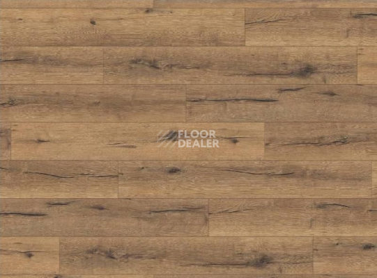 Ламинат Haro Tritty 100 4V ДУБ ИТАЛИКА НАТУР 530335 фото 1 | FLOORDEALER